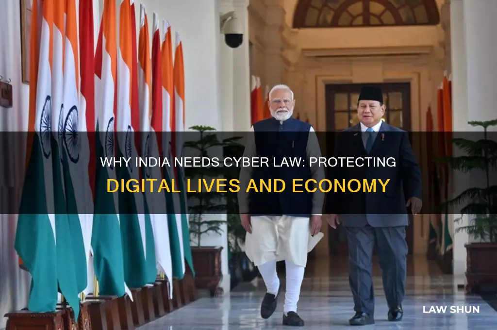 what is the need of cyber law in india