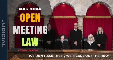 Understanding Nevada's Open Meeting Law: Transparency in Government Meetings