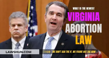 Virginia's Abortion Law: Recent Changes and Implications