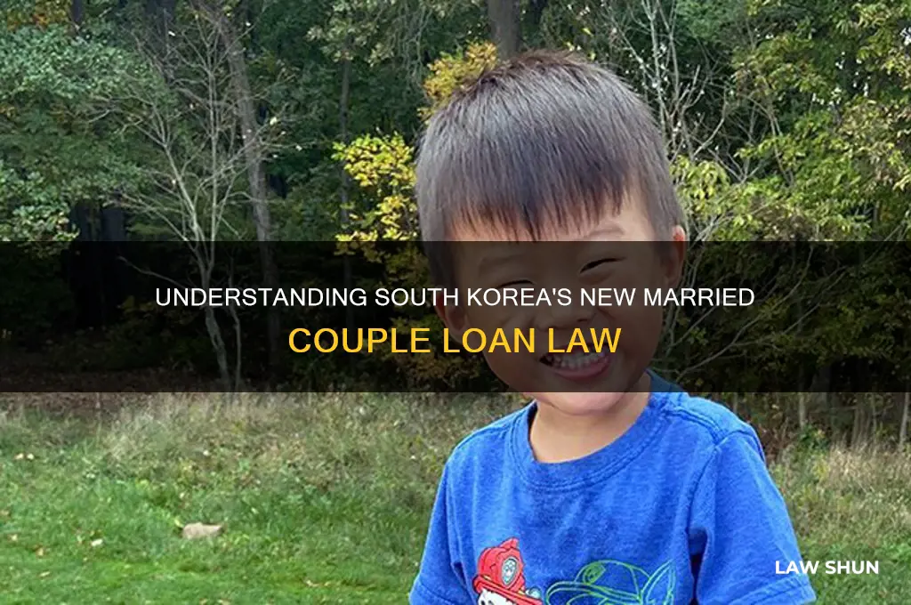 what is the newly married loan law in s korea