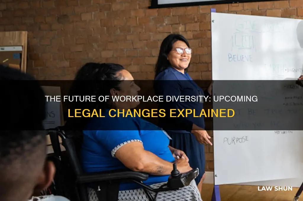 what is the next law for diversity in the workplace