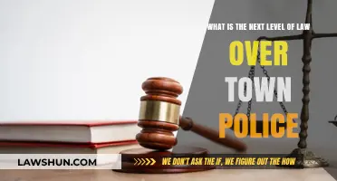 Beyond Local Enforcement: Understanding Higher Legal Authorities Over Town Police