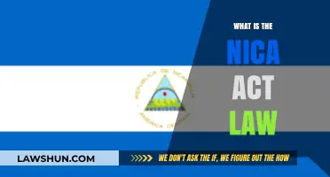 Understanding the NICA Act Law: Key Provisions and Implications