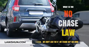 Understanding the No Chase Law: A Comprehensive Guide
