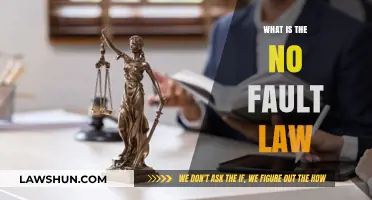 Understanding No-Fault Law: A Comprehensive Guide