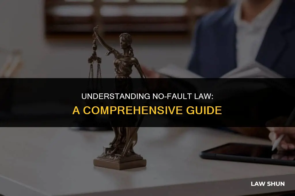 what is the no fault law