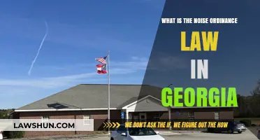 Understanding Georgia's Noise Ordinance Law: Rules, Penalties, and Compliance