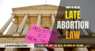 New York's Abortion Law: Late-Term Access Explained