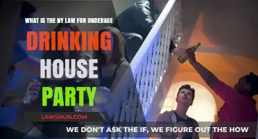 Underage Drinking House Parties: Understanding NY Laws and Penalties
