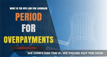 Understanding NYS Lookback Period Laws for Overpayment Recovery