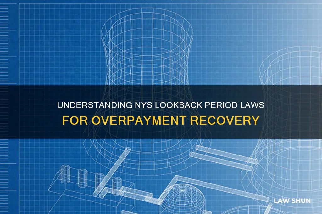what is the nys law for lookback period for overpayments