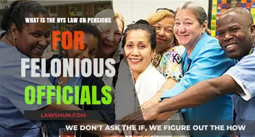 NYS Pension Laws for Felonious Officials: What You Need to Know
