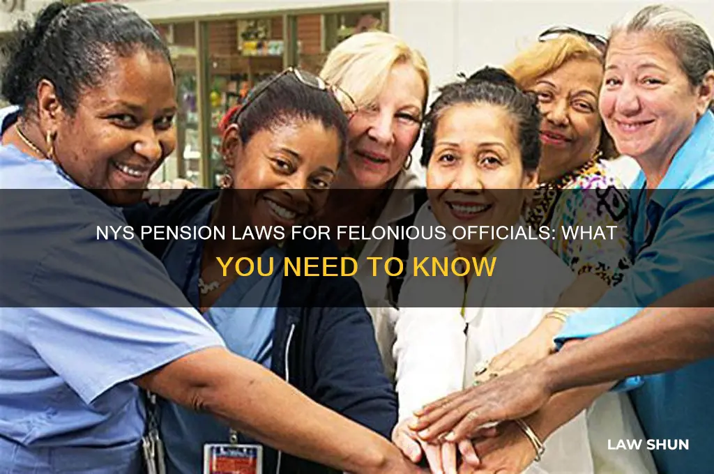 what is the nys law on pensions for felonious officials