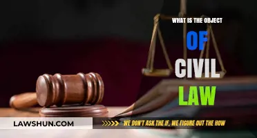 Understanding Civil Law: Protecting Rights, Resolving Disputes, and Ensuring Justice