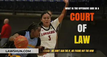 Understanding the Offensive Side in a Court of Law