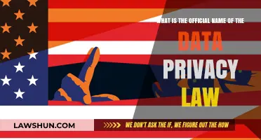 Understanding the Official Name of the Data Privacy Law