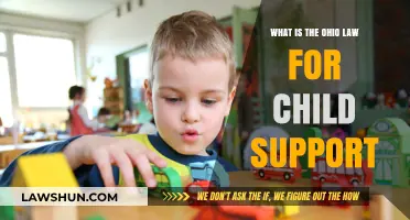 Understanding Ohio's Child Support Laws: Guidelines, Calculations, and Obligations