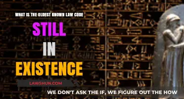 Exploring the Ancient Origins of the Code of Hammurabi