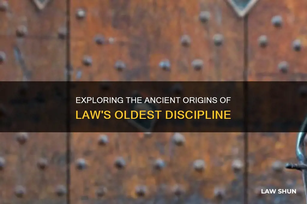 what is the oldest of 4 areas of laws developed