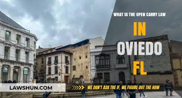 Understanding Oviedo, FL's Open Carry Law: What You Need to Know