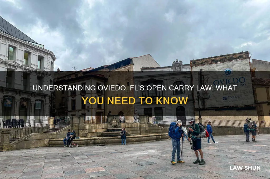 what is the open carry law in oviedo fl