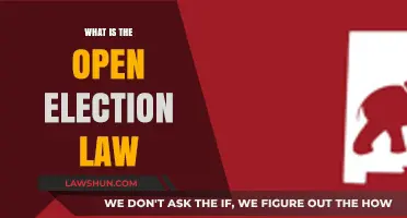 Understanding the Open Election Law: Transparency and Voter Rights Explained