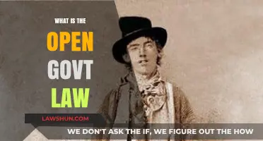 Understanding Open Government Law: Transparency, Accountability, and Citizen Engagement