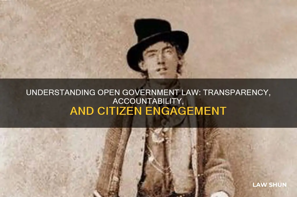 what is the open govt law