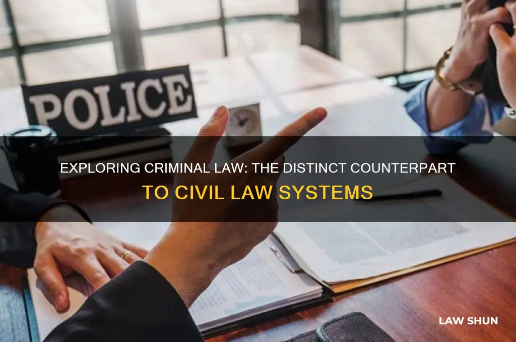 what is the opposite of civil law