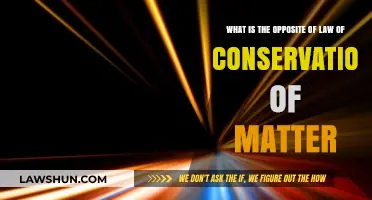 Matter's Transience: Exploring the Concept Beyond Conservation Laws