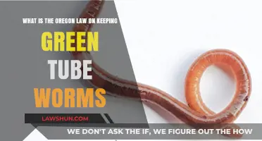 Oregon's Green Tube Worm Laws: What You Need to Know