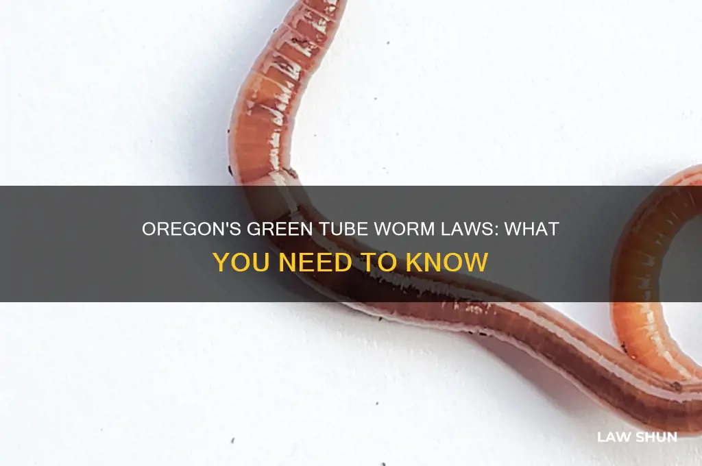 what is the oregon law on keeping green tube worms