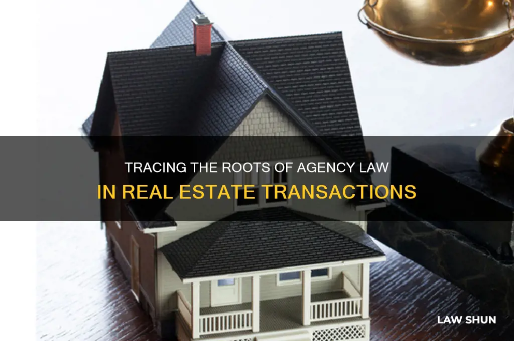 what is the origin of agency law in real estate