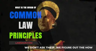 The Evolution of Common Law Principles