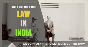 The Evolution of Indian Laws: Posh Law's Origin