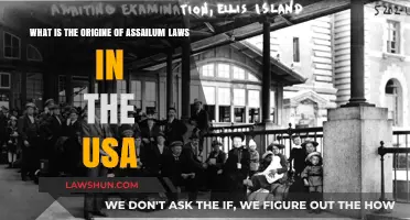 Origins of Asylum Laws in the USA: A Historical Overview