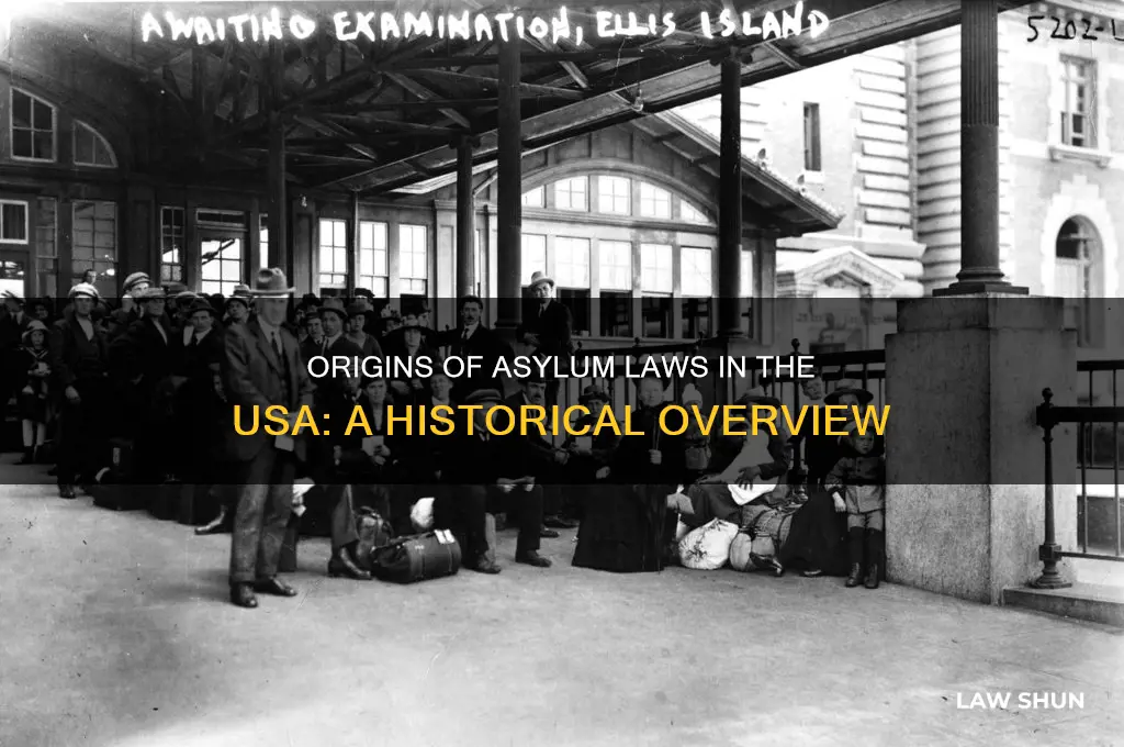 what is the origine of assailum laws in the usa