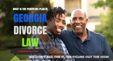 Understanding Georgia's Parenting Plan in Divorce Law: A Comprehensive Guide