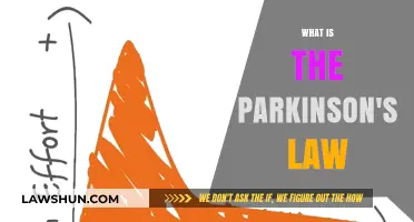 Understanding Parkinson's Law: A Guide to Its Principles and Applications