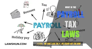 Payroll Tax Laws: What You Need to Know