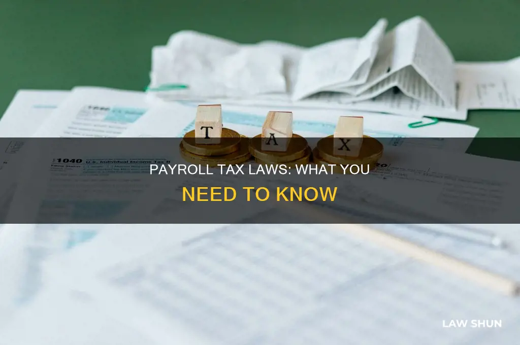 what is the payroll tax laws