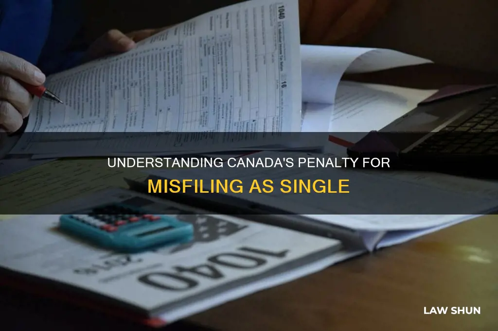what is the penalty for filing single when common-law canada