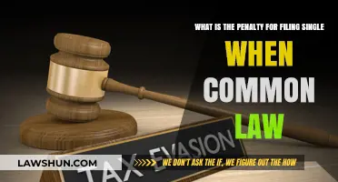 Understanding the Tax Filing Penalty for Common-Law Couples