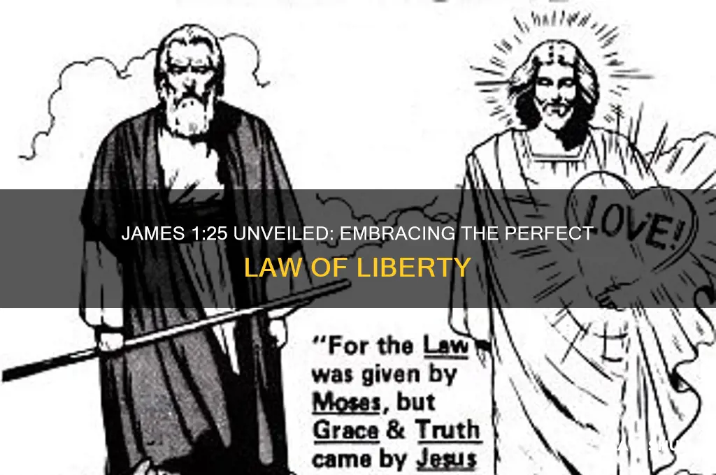 what is the perfect law of liberty in james 1:25