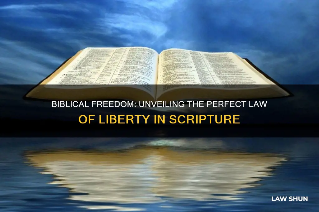 what is the perfect law of liberty in the bible