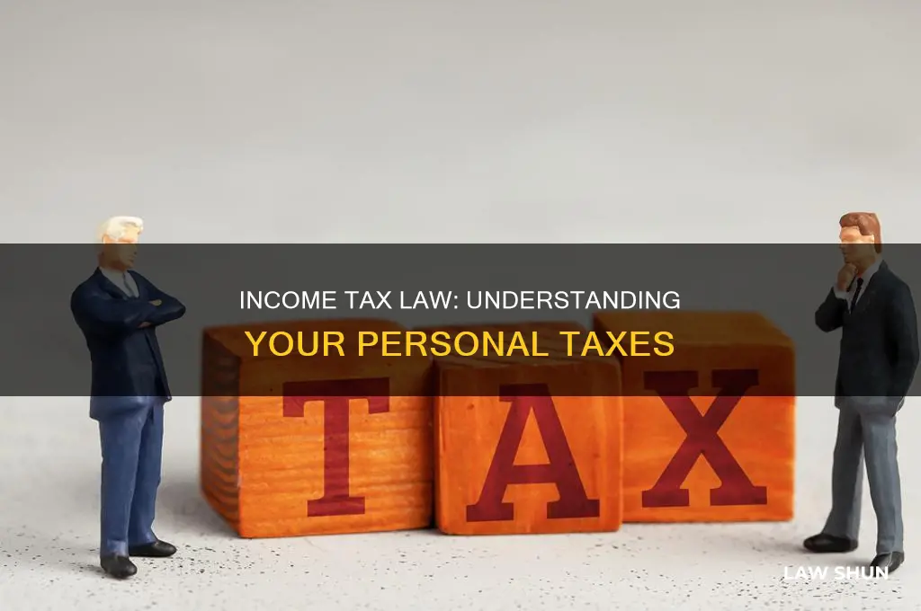 what is the personal income tax law
