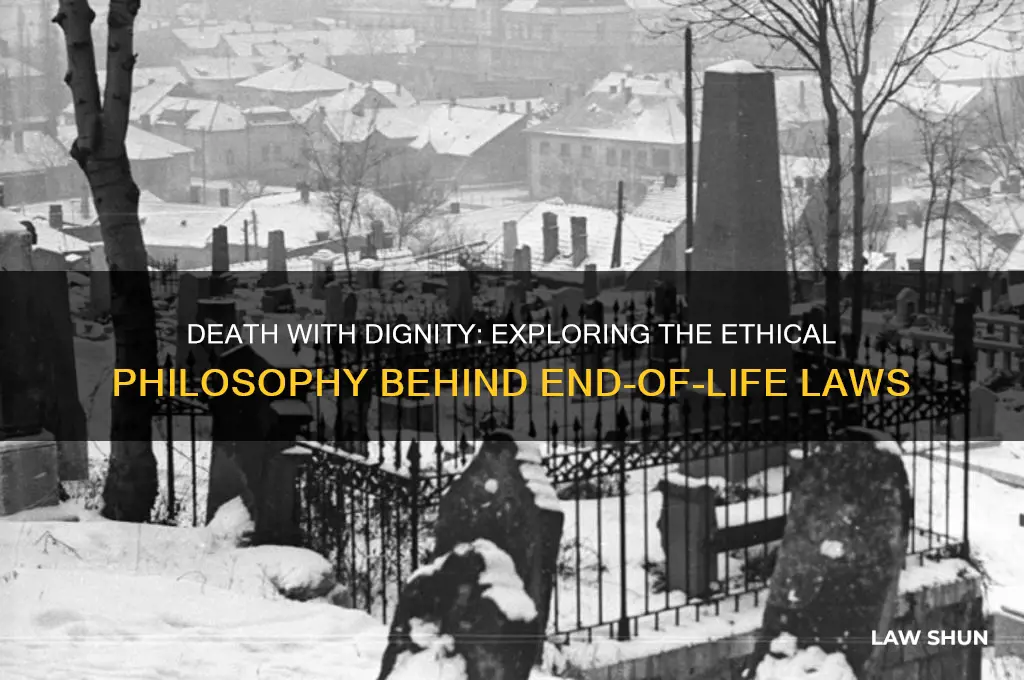 what is the philosophy behind the death with dignity laws