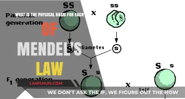Unraveling Mendel's Laws: Exploring the Physical Foundations of Heredity