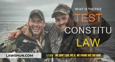 Pike Test: Constitutional Law's Balancing Act