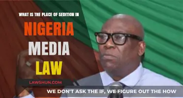 Sedition in Nigeria's Media Law: Understanding Its Role and Limits